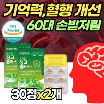 은행잎추출물 플라보놀배당체 30정x2박스 혈행 개선 두뇌 좋은 보조제 개선제 징코 찡코 진코 식약처 50대 60대 엄마 어머니 부모님 하체 다리 영양제