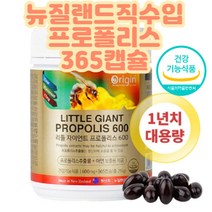 시니어 실버 프로폴리스 환 항산화 아연 건강보조식품 프로폴리스 입냄새 구취 가래기침 건강식품 홈쇼핑 60대 70대 80대 목에가래 헛기침 기침 가래삭히는법 육체피로 필수영양제