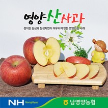 경북 영양농협 사과 꿀부사 5kg 20-21과 미세기스, 단품