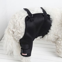 무릎패드 강아지 보호대 고정 탈골 슬개골 다리, 오른쪽 뒷다리 블랙  + XL-초대형개