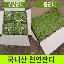 천연잔디 부분잔디20장 롤잔디2장 박스포장무(료)배송chooa, 부분잔디(18.18)20장