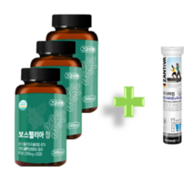 보스웰리아 1000mg 보스웰리스 보수웰리아 bosswellia 복용법 먹는법 홈쇼핑, 본품 3통(6개월분)+멀티비타민 20정