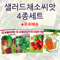주주씨앗 샐러드채소씨앗 4종세트 모둠 치커리 양상추 방울무 미니당근 종자, 1개