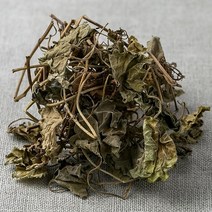 봉래 국산 금전초(긴병꽃풀) 100g/병꽃풀/병풀/한방차/건강차 식품 > 건강식품 전통건강식품 기타전통건강식품/한방재료, 100g, 1, 100g” class=”wr-img”></a></div>
</div>
</div>
</div>
<div class=