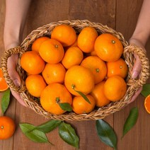 제주 하우스감귤 4.5kg 소과, 1박스