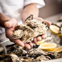 수산1번지 통영직송 굴 석화(각굴) 하프셀(반각) 대왕굴(삼배체굴), 프리미엄대왕굴(삼배체) 2kg, 1개