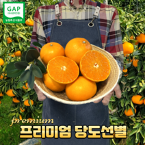 고당도 산지직송 제주천혜향 제주도 천혜향 선물세트 가정용 3kg 5kg 10kg, 새콤달콤 천혜향 가정용 대과 3kg