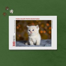 300피스 반려동물 사진 직소퍼즐 제작 (액자포함) _ 80998EA, 피오리레 본상품선택, 피오리레 02. 앤틱카키, 피오리레 본상품선택