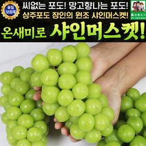 상주 온새미로 샤인머스켓 2kg 3-4수