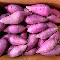 영호네농산물 2020년 햇고구마 꿀밤고구마 밤고구마, 1box, 3kg