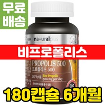 네츄럴플러스 항산화 영양제 식품 프로폴리스 성분 섭취 방법 음식 항산화제 propolis 건강 기능 보조 추천 캐나다 추출물 플라보노이드 플라노보이드 폴리폴리스 비프로폴리스 500