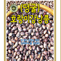 (씨앗) 호랑이줄강낭콩 30g 종자 강낭콩씨 KS종묘 채소재배