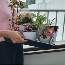 모종판 육묘 재배 농원 트레이 받침대 식물 모종 상자 꽃 텃밭 정사각형 A