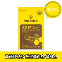 종근당건강 와일드비 프로폴리스 플러스 아연 셀렌 환절기 면역 향균 식약처 2개월분 30g, 60캡슐, 1개