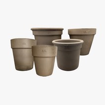 디그리아 초코 이태리토분 키오코 이태리토분 2종 밀라노 알토, 21호 스탠다드 키오코