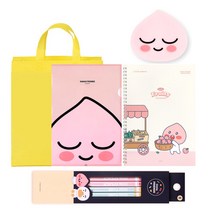 카카오프렌즈 문구세트 학용품세트 카카프렌즈 연필세트 선물가방증정, 카카오 연필문구세트5500(어피치)+선물가방, 1set