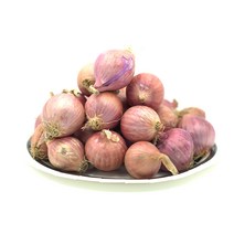 red onion 적색 양파 수입 모충 샬롯 작은사이즈 빨간양파 1-10kg shallot small size, 1kg, 1개