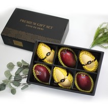 2023 s급 브라질 애플망고 태국 골드망고 무지개망고 선물용, 선물용)태국골드망고9구 프리미엄세트