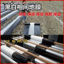 비닐피복기 땅콩 흑백 멀치 필름 제초제 필름 화이트 플러스 블랙 플라스틱 필름 농업 필름 커버 감자 먼지 필름 유지 보수, 202s 은색과 검정색 2색 폭 3m 길이 150