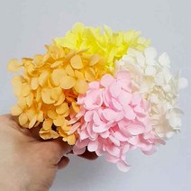 수국 안나수국 프리저브드수국 드라이플라워 프리저브드플라워 말린꽃 프리저브드 인테리어 꽃소품, 5g, 오렌지