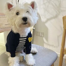 강아지 명품옷 하트 가디건 스웨터 니트 코트 중소형 애견의류 4color, 네이비