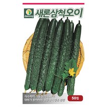 흑원경 가지 씨앗 100립 - 가지씨앗 채소씨앗 야채씨앗 종묘 종자 베란다 텃밭 채소재배 씨 씨앗 오이 호박 방울토마토 수박 참외 멜론, 06_다농_새론삼척 오이(가시오이)(50립)