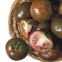 [P1D] 과일 블랙펄 토마토 도마토 키우기 씨 씨앗 종자 10립 / 원예작물 정원꾸미기 토마토씨 품종 종묘사 ( P1D / 991247EA ), 본상품선택