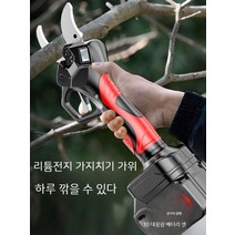 전동 전지가위 충전식 무선 가지치기 배터리 나무 과일, 3.8cm 럭셔리 369800H 배터리1