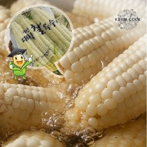 [팜쿡]괴산 삶은 대학찰옥수수 냉동 12개(팩당3개), 단품