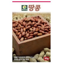 다-땅콩 30g 땅콩씨 땅콩종자 땅콩씨앗
