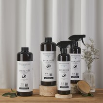 에버지움 산소계 프리미엄 종합 살균 뿌리는 무알콜 소독제, 1개, 500ml