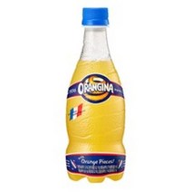 롯데칠성음료 오랑지나, 420ml, 17개