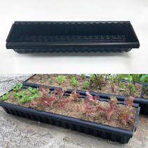 [2개] PP 직사각 대형 긴 가로화분 야외 화단 테라스화분 홈가드닝 집에서 상추키우기 파키우기 딸기화분, 모주트레이-2개묶음