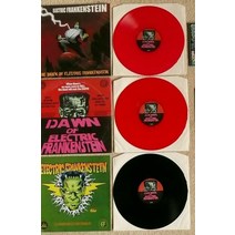 LP판 미국 ELECTRIC FRANKENSTEIN 일렉트릭 프랑켄슈타인의 벽 컬러 레코드판 LP 앨범 제품, Black vinyl