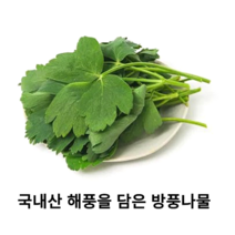 국내산 신선한 방풍나물 400g 1kg 국산 당일수확 갯방풍나물 갯방풍 해방풍 자연의 보약 방풍나물 봄나물 무침, 500g