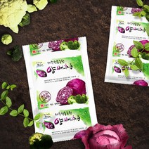 청룡농원 빨간 양배추즙 110ml x 75개입 x 5개, 5개