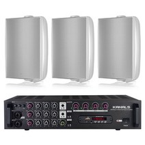 TANNOY DVS4 레스토랑 4인치 매장스피커 RE40TD3 흰색