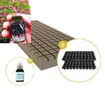 삽목용 오아시스162구+50구트레이 2장+발근력20ml+이름표사은품, 1셋트