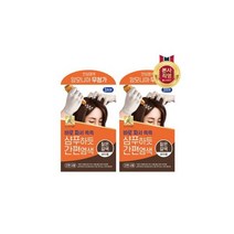 LG 생활건강 엘라스틴 샴푸하듯 간편염색 짙은갈색 60g x 2개