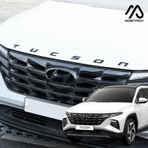 (모스트픽) 투싼 NX4 튜닝 투톤 레터링 아크릴 엠블럼 이니셜 로고 엠블렘 드레스업 용품 악세사리, (모픽) 도어 휀다 엠블럼 2p - 화이트