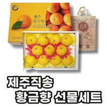 선제이피지 제주 직송 황금향 선물세트 꽉찬 과육 숙성, 5kg(선물박스+부직포가방)