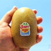 제스프리 썬골드 프리미엄 고당도 골드키위 특대과 점보과, 특대과 2.8kg (21~24과), 1개
