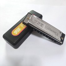 교육용 트레몰로 10홀 24홀 28홀 하모니카 키 10 홀 입 오르간 유태인의 하프 전문 악기 c 톤 블루스 가이타 케이스 퍼즐, 은