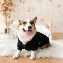 웰시코기옷 후드 반려견 소형 대형견 겨울옷 외출복, 옐로우 후드