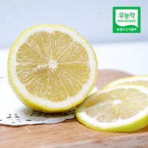 상큼한 국내산 제주 무농약 레몬 5kg, 제주 GAP인증 레몬 5kg