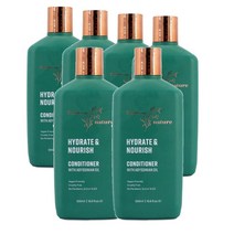 땡스투네이처 호주 Thanks To Nature Conditioner 너리쉬 아비시니안오일 컨디셔너 500ml, 6팩