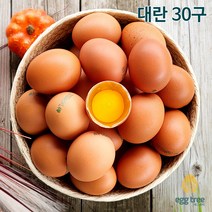 [오늘낳은 달걀] HACCP농가 에그트리 생계란, 30구(1560g), 대란
