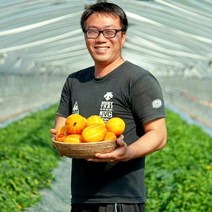산지직송 성주참외 선물용 로얄과 가정용 못난이 효능, 정품, 10kg, 소과