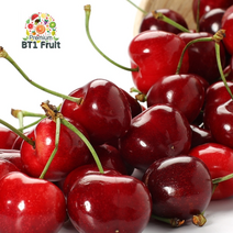 [KT알파쇼핑][항공직수입]칠레 싱싱체리 1.2kg(9.5row)