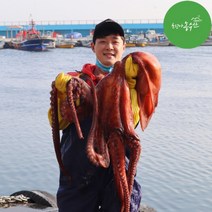 최고다농수산 동해 피문어 참문어 살아있는 활 대왕문어다리 제수용문어 산지직송, A급 제수용 피문어 1kg (자숙)